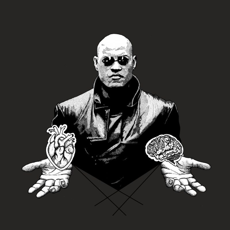 The Choice Of Morpheus Ladies Fitted T-Shirt by dotfog | Artistshot