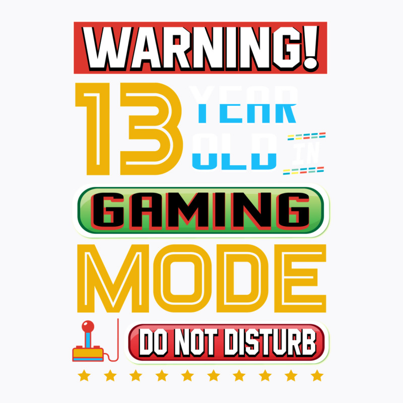 Funny 13th Gamer Birthday 13 Year Old Gaming Gifts T-Shirt by haddoumcshann | Artistshot