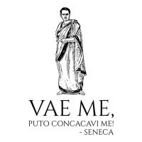 Classical Latin Quote   Vae Me, Puto Concacavi Me!   Seneca T Shirt Unisex Hoodie | Artistshot