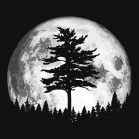 Retro Full Moon & Minimalist Pine Tree Vintage Graphic Pullover Hoodie Graphic T-shirt | Artistshot