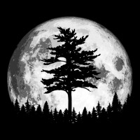 Retro Full Moon & Minimalist Pine Tree Vintage Graphic Pullover Hoodie Pocket T-shirt | Artistshot