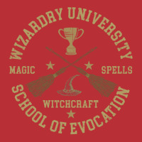 Wizardry University T-shirt | Artistshot