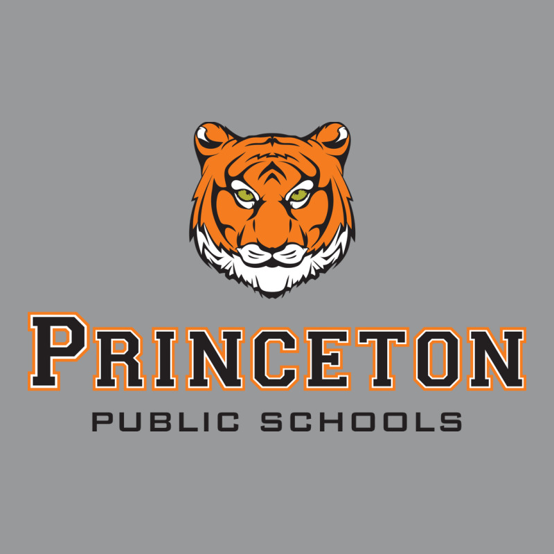 Princeton High School Unisex Hoodie by QuellaLivy | Artistshot