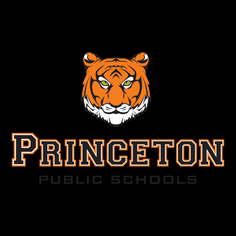 Princeton High School Lightweight Hoodie by QuellaLivy | Artistshot