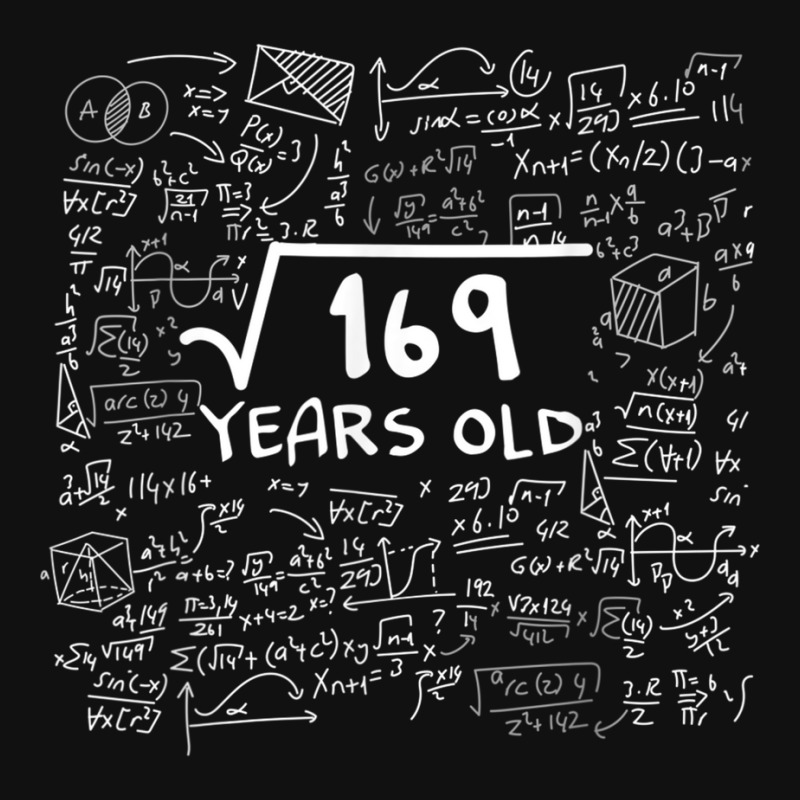 Square Root Of 169 Years Old Funny Birthday Math License Plate Frame By ...