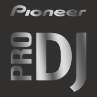 Alluring Pioneer Pro Dj Silver Champion Hoodie | Artistshot