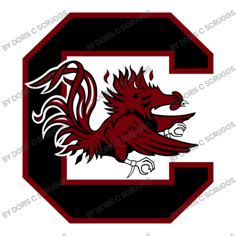 The Carolina Gamecocks 3/4 Sleeve Shirt by Doris C Scruggs | Artistshot