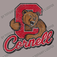 Cornell Vintage Hoodie | Artistshot