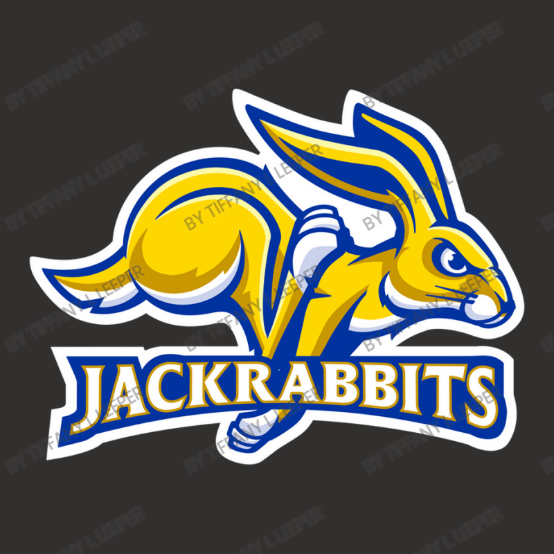 Jackrabbits Champion Hoodie | Artistshot