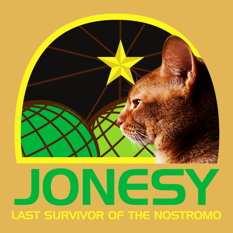 Jonesy The Last Surviving Member. Vintage Hoodie And Short Set by legohtashyap | Artistshot