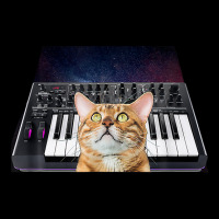 Galaxy Cat Musical Instrument Modular Synthesizer T Shirt Legging | Artistshot