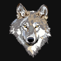 Wolfwalker Graphic T-shirt | Artistshot