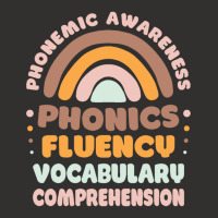 Phonemic Awareness Phonics Fluency Vocabulary Comprehension Pullover H Champion Hoodie | Artistshot