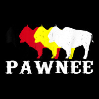 Pawnee Tribe Nation Native Indian Medicine Wheel T Shirt Youth Jogger | Artistshot