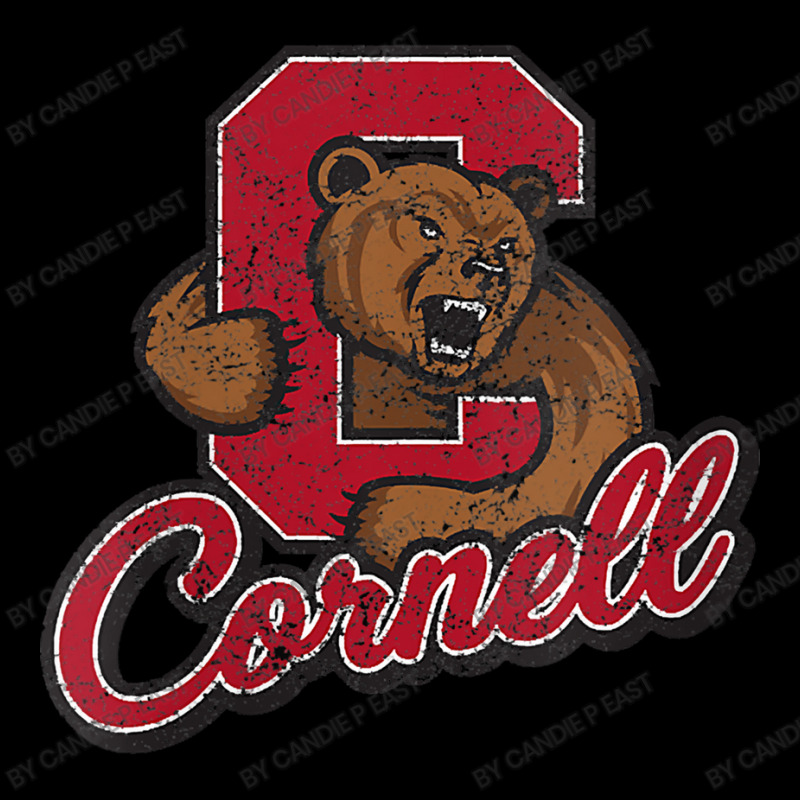 Cornell Zipper Hoodie | Artistshot