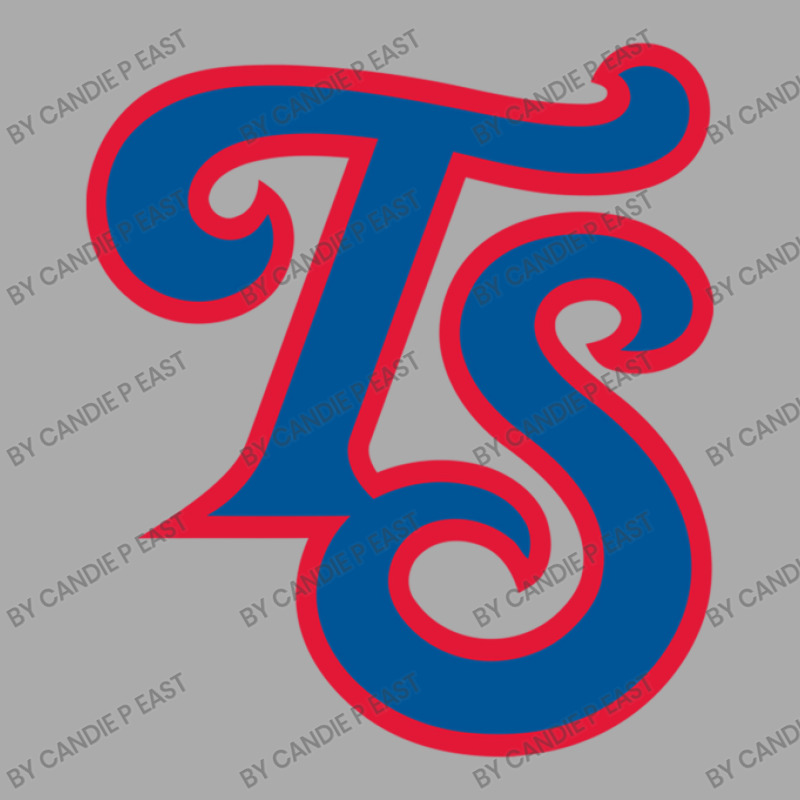 Baseball Tennessee Smokies Team T-shirt | Artistshot