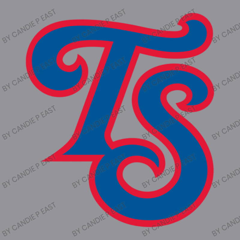 Baseball Tennessee Smokies Team 3/4 Sleeve Shirt | Artistshot