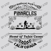 Pinnacles National Park California Women's Triblend Scoop T-shirt | Artistshot