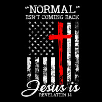 Normal Isn't Coming Back But Jesus Is Revelation 14 Usa Flag Men's 3/4 Sleeve Pajama Set | Artistshot