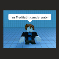 I'm Meditating Underwater Ladies Fitted T-shirt | Artistshot