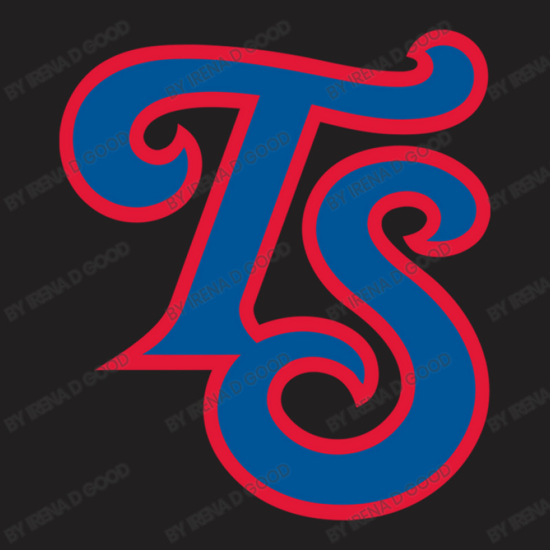 Baseball Tennessee Smokies Team T-Shirt by Irena D Good | Artistshot