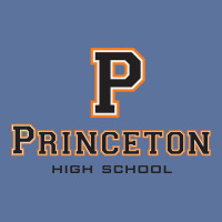 Princeton High School Lightweight Hoodie | Artistshot