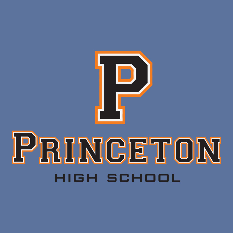 Princeton High School Lightweight Hoodie by GerryGeraldo | Artistshot