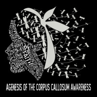 Womens We Wear Silver For Agenesis Of The Corpus Callosum Awareness V- Kids Cap | Artistshot