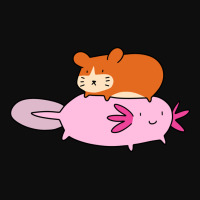 Axolotl And Little Hamster Crop Top | Artistshot