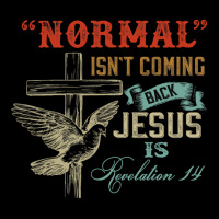 Vintage Normal Isn’t Coming Back Jesus Is Revelation 14 Adjustable Cap | Artistshot