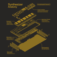 Synthesizer Anatomy Of A Synth For Electronic Musician Ladies Fitted T-shirt | Artistshot