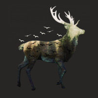 Forest Deer Ladies Fitted T-shirt | Artistshot