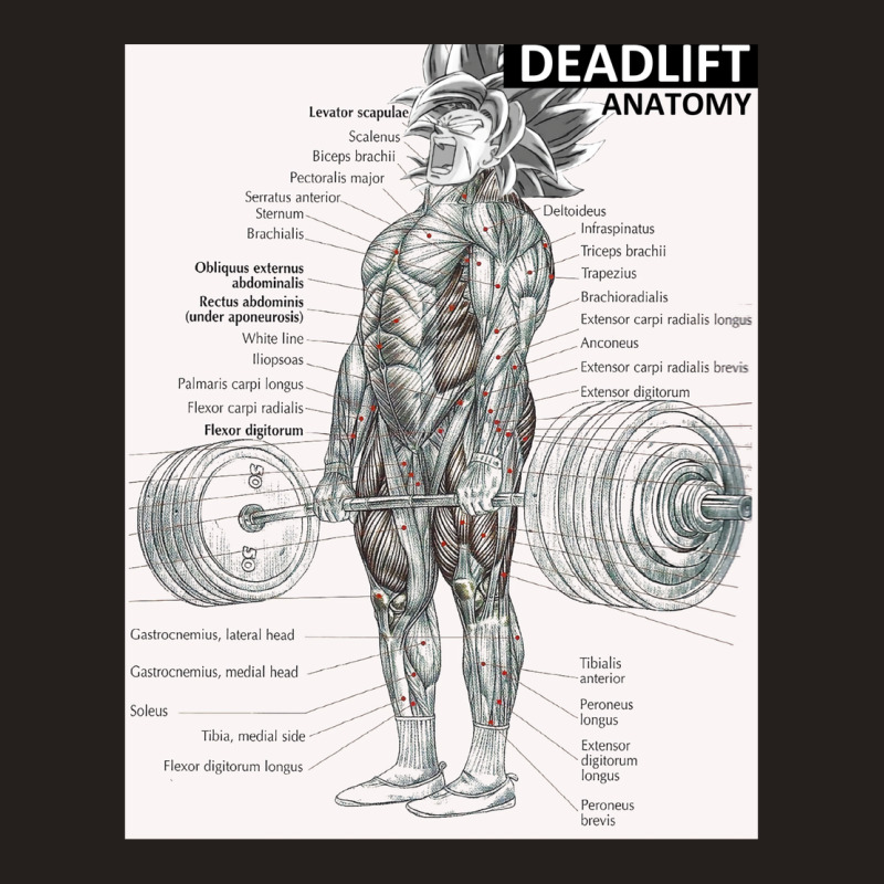 Deadlift Muscle Chart   Anatomy Diagram   Anime Gym Motivational Tank Top | Artistshot