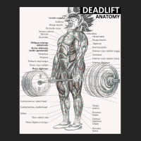 Deadlift Muscle Chart   Anatomy Diagram   Anime Gym Motivational 3/4 Sleeve Shirt | Artistshot