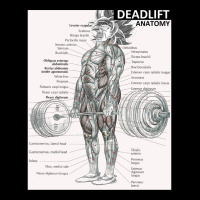 Deadlift Muscle Chart   Anatomy Diagram   Anime Gym Motivational Zipper Hoodie | Artistshot