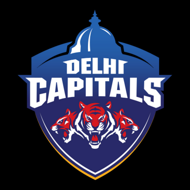 Delhi Capitals Lightweight Hoodie by ziembakhadse8 | Artistshot