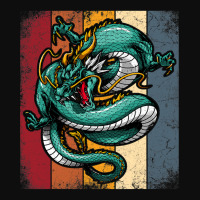 Retro Dragon Shirt Vintage Imagine Chinese Dragon Believer 1 Crop Top | Artistshot