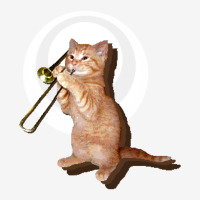 Trombone Cat Graphic T-shirt | Artistshot