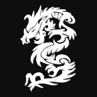 White Firedrake Chinese Dragon Kung Fun Tai Chi Dragon Crop Top | Artistshot