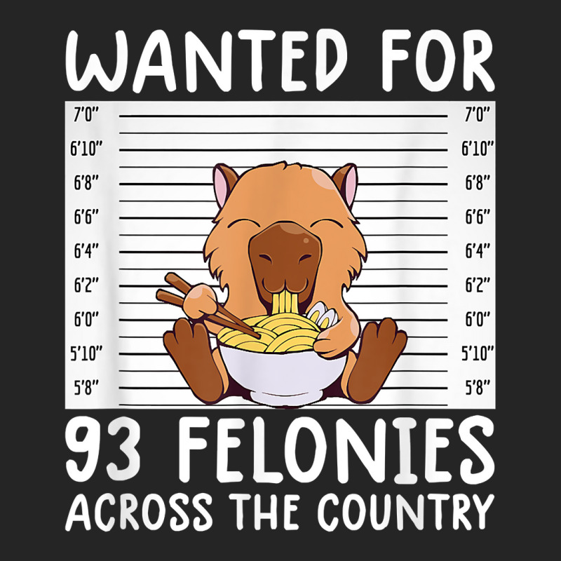 Wanted For 93 Felonies Shirt Funny Capybara Tee Rodent Quote T Shirt Unisex Hoodie | Artistshot