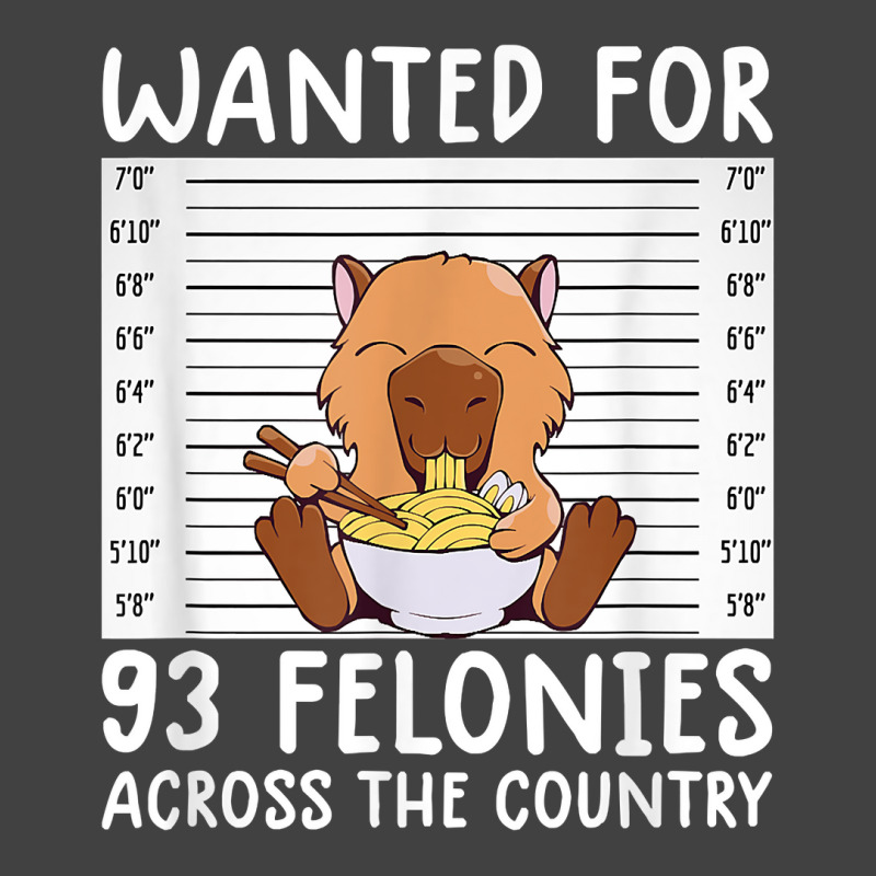 Wanted For 93 Felonies Shirt Funny Capybara Tee Rodent Quote T Shirt Vintage T-shirt | Artistshot