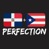 Dominican Plus Puerto Rican Perfection Mix Gift 1 T-shirt | Artistshot