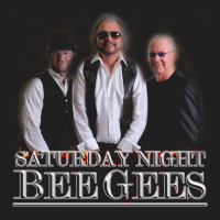 Bee Gees Saturday Night Fever 5 T-shirt | Artistshot