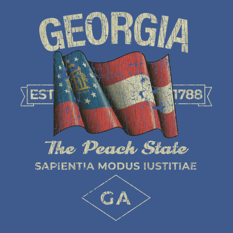 Georgia 1788 Champion Hoodie by djimadejmek9 | Artistshot