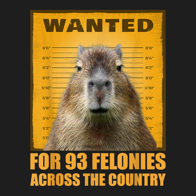 Capybara Mugshot Wanted For 93 Felonies Across The Country T Shirt Classic T-shirt | Artistshot