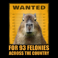 Capybara Mugshot Wanted For 93 Felonies Across The Country T Shirt Youth Hoodie | Artistshot