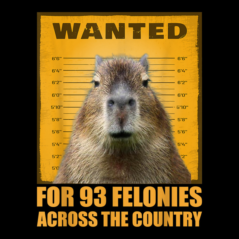 Capybara Mugshot Wanted For 93 Felonies Across The Country T Shirt Youth Hoodie | Artistshot