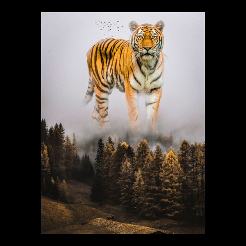 Tiger Cropped Sweater by josef.psd | Artistshot