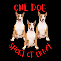 One Dog Short Of Crazy T  Shirtone Dog Short Of Crazy T  Shirt (11) Youth Zipper Hoodie | Artistshot