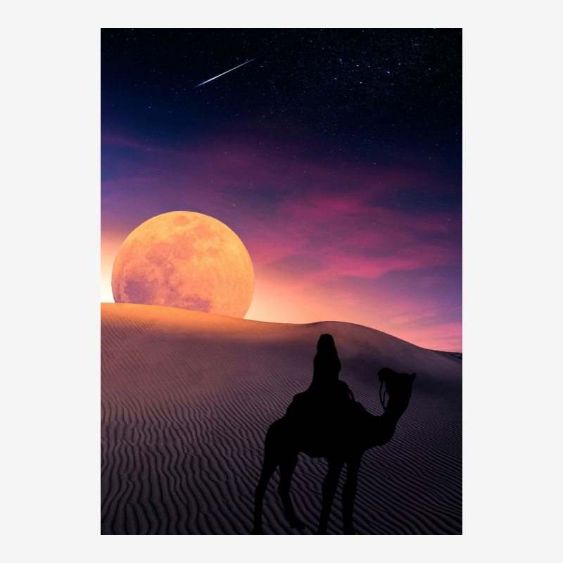 Desert Ladies Polo Shirt | Artistshot